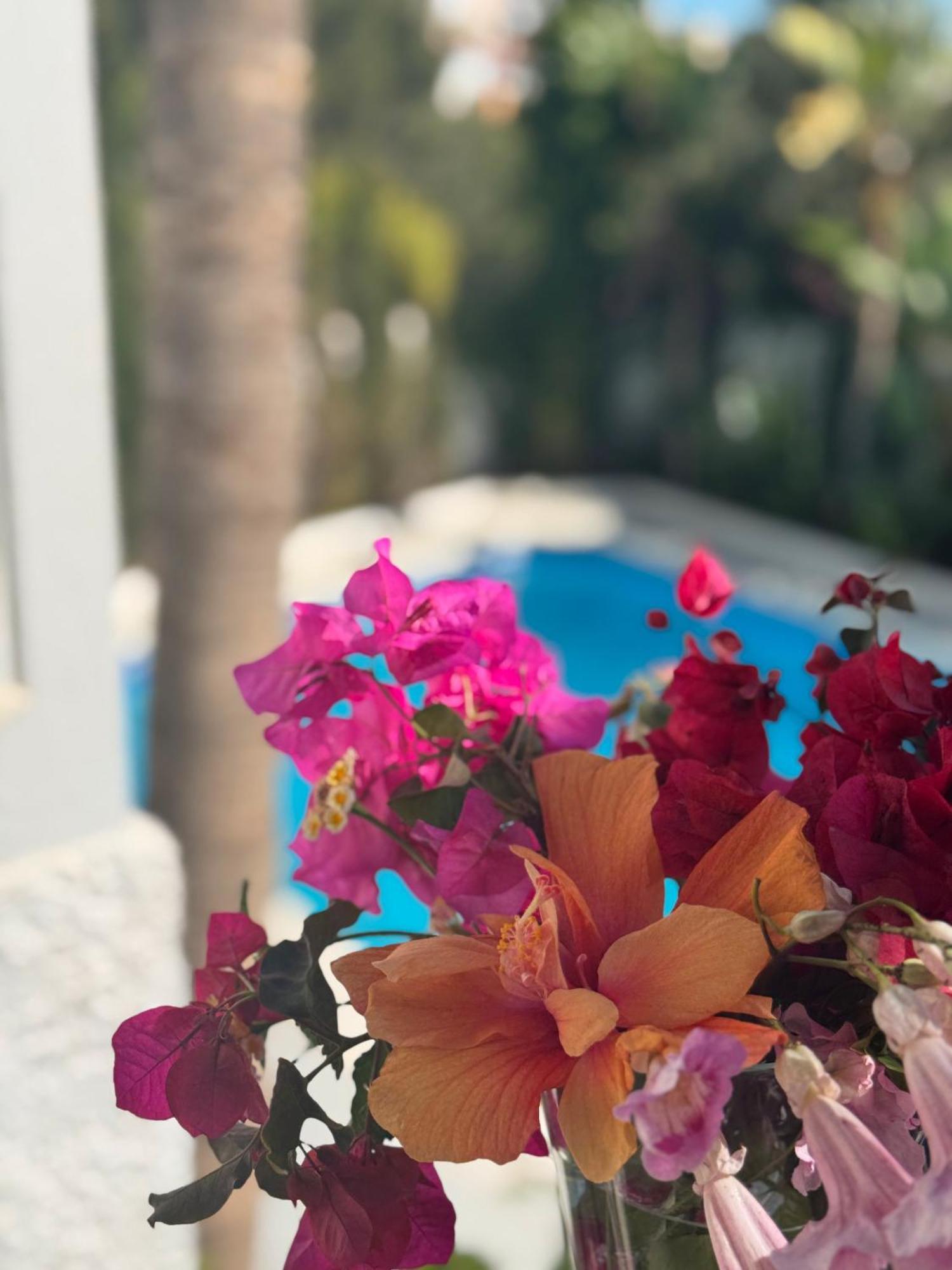Villa Nerja Exterior foto